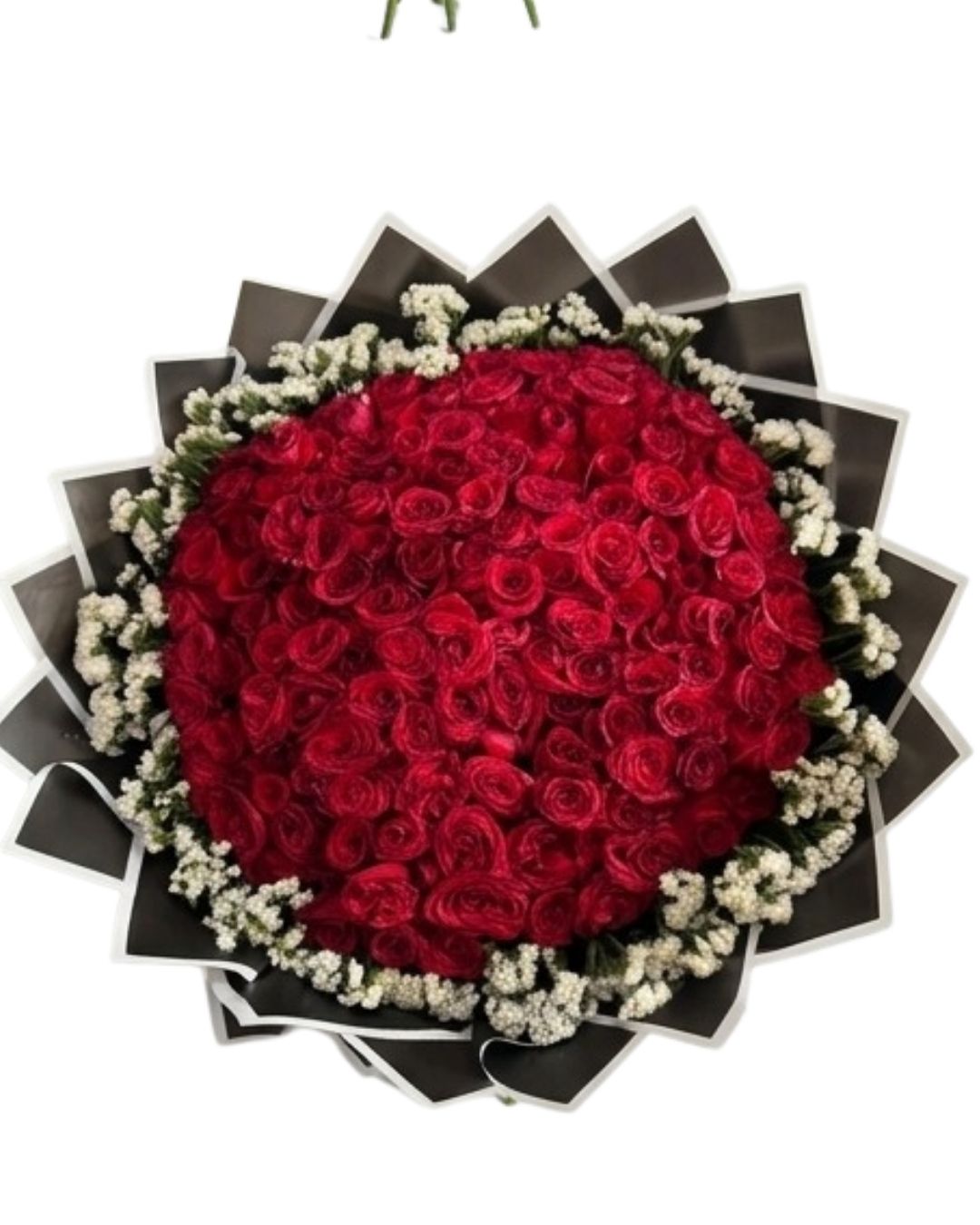 Crimson Halo Red Rose & Baby's Breath Luxury Bouquet detail 3