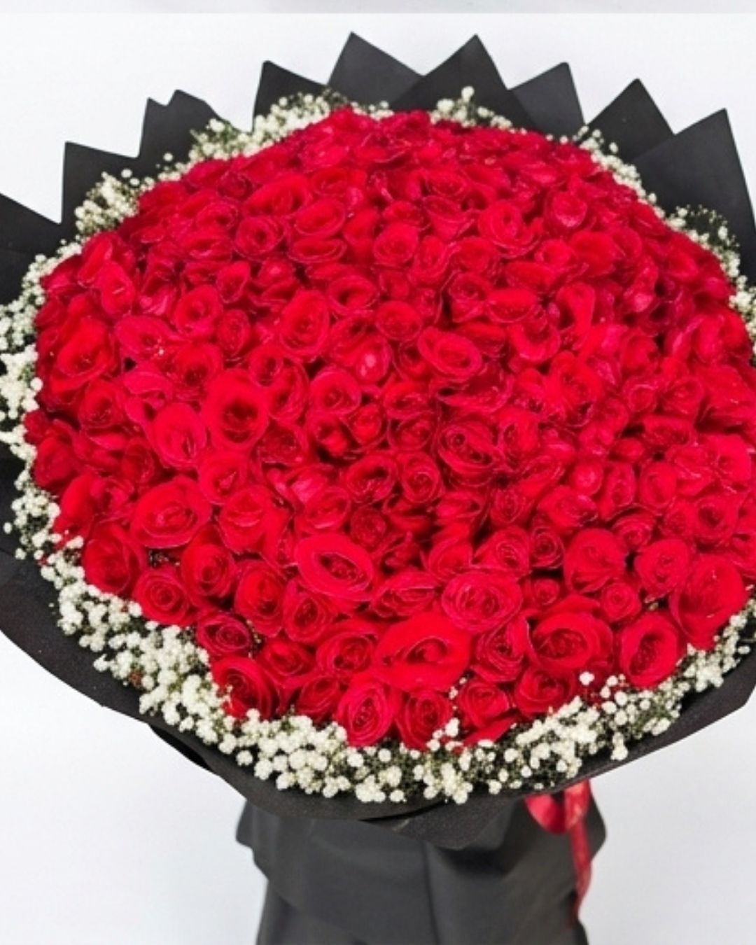 Majestic Halo 100 Red Rose & Baby's Breath Luxury Bouquet detail 3